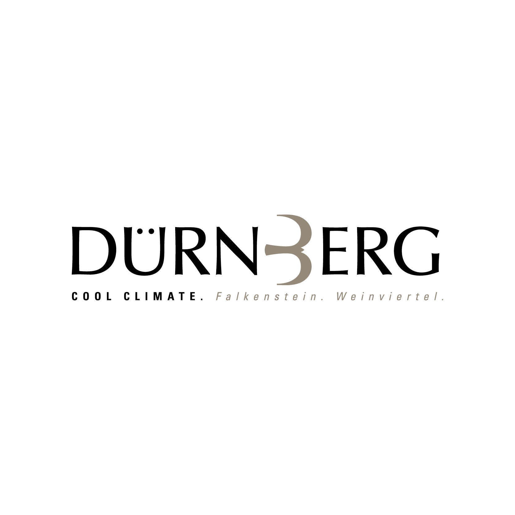 Sponsor_Dürnberg Wein_logo